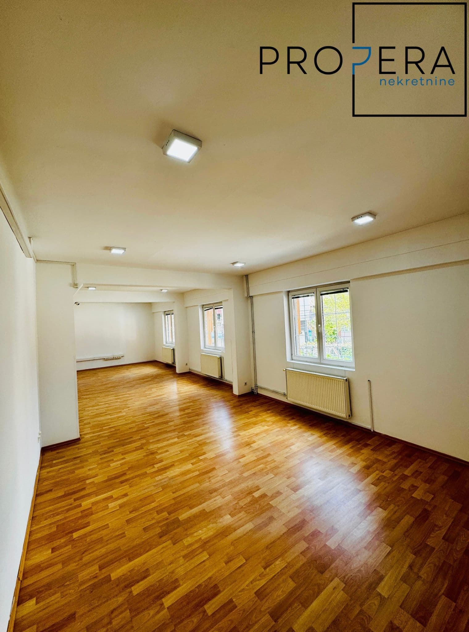 Kancelarijski prostor u centru, Jovana Skerlića, 350 m², fotografija 1